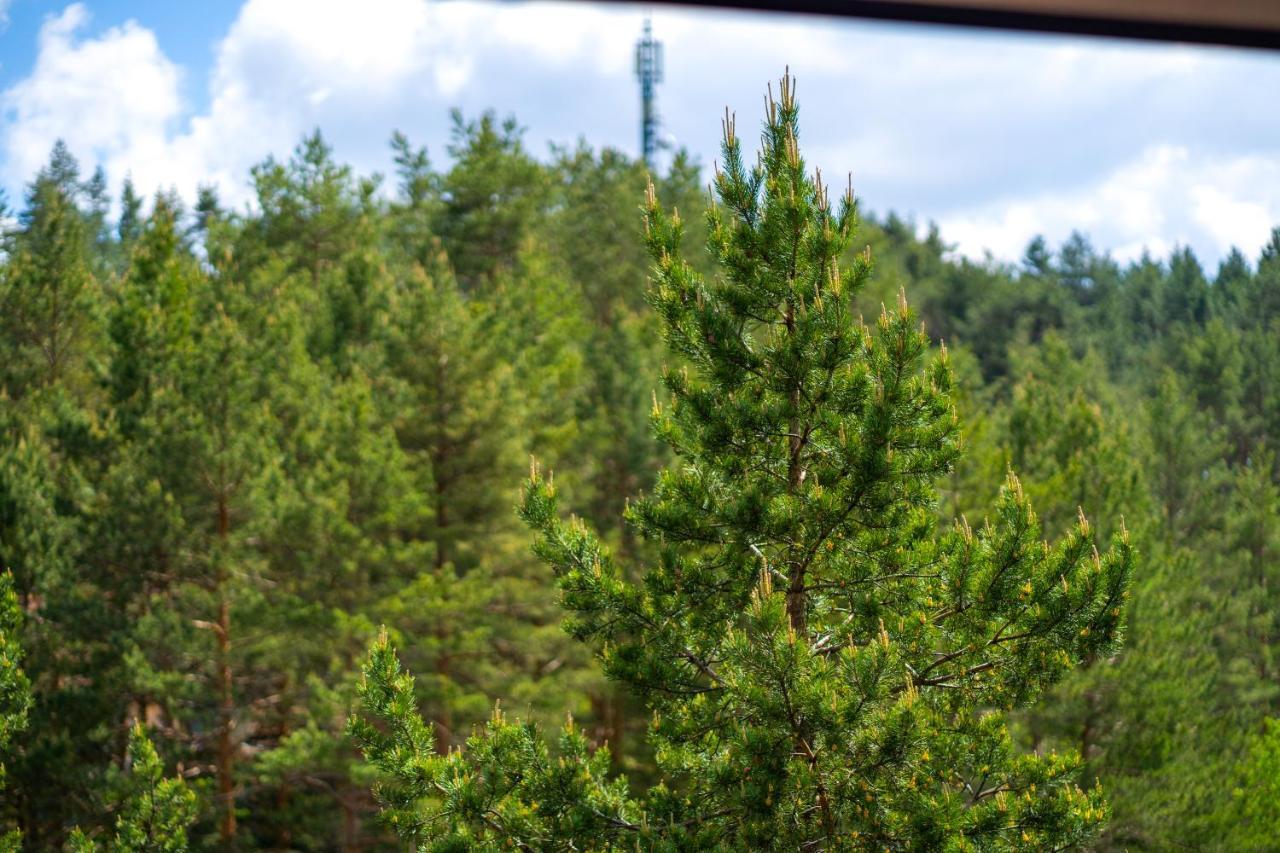 Vila Pekovic, Pine Trees View Apartment With Big Balcony In The Center Of Zlatibor! Exterior photo